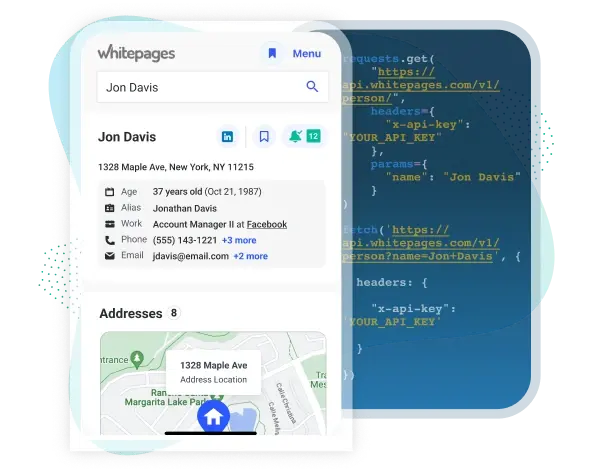 api illustration
